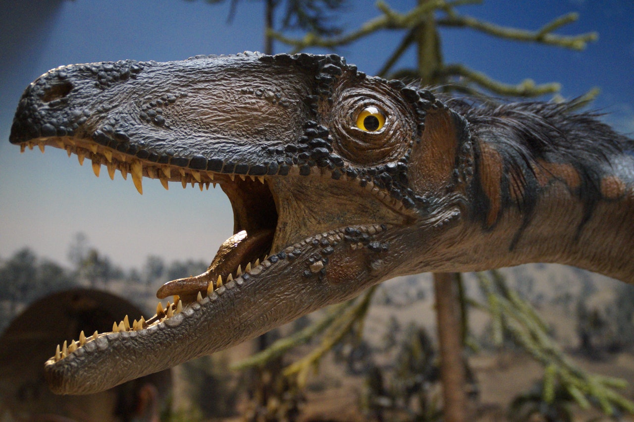 Cabazon Dinosaur Museum