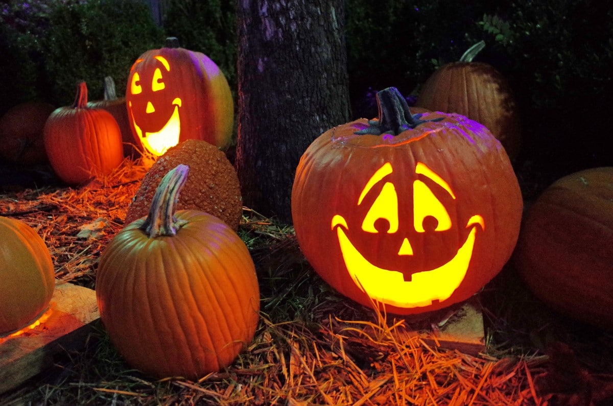 Things to Do for Halloween in Palm Desert