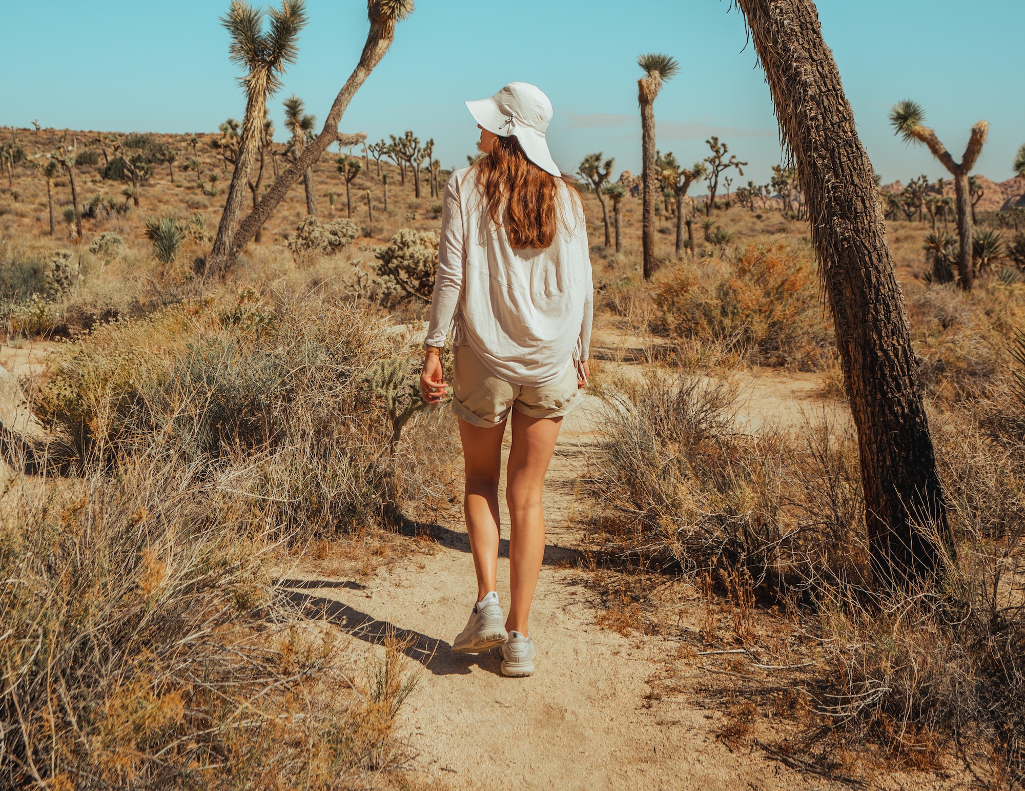 Come Experience the Top Summer Events of 2023 in Palm Desert & Indio