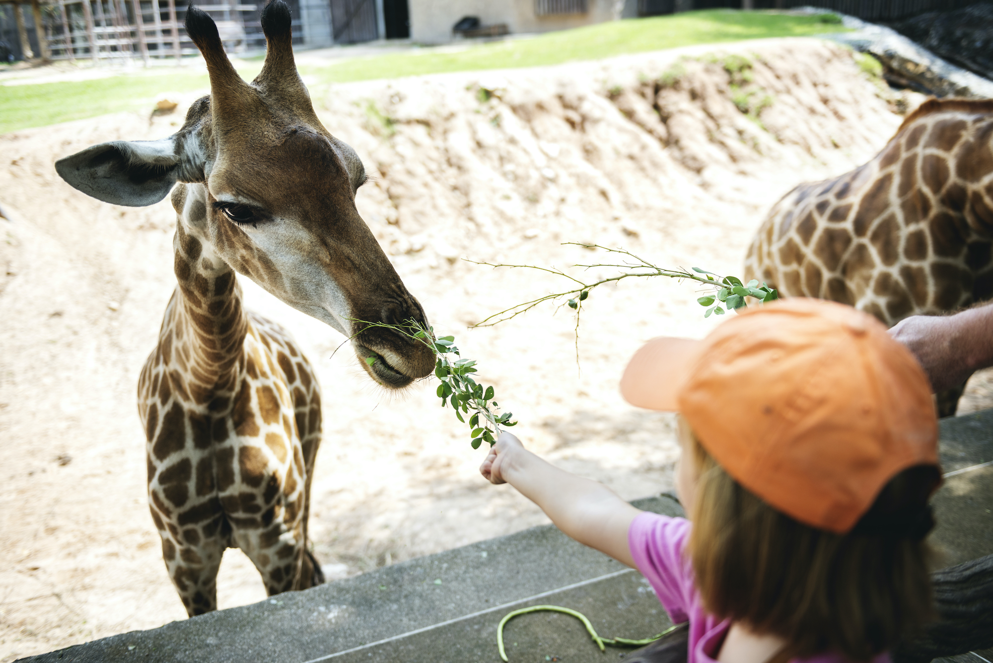 Palm Springs Family Activities